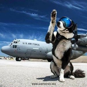 Meet your Posher, Scott